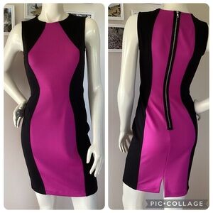 Elegant Boston Proper Colorblock Scuba Dress size 2🌹
